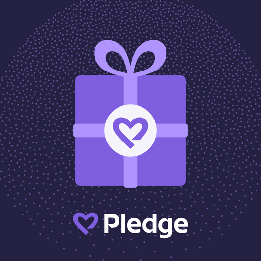 Donation to Bright Spot Network - Talk to the tee store